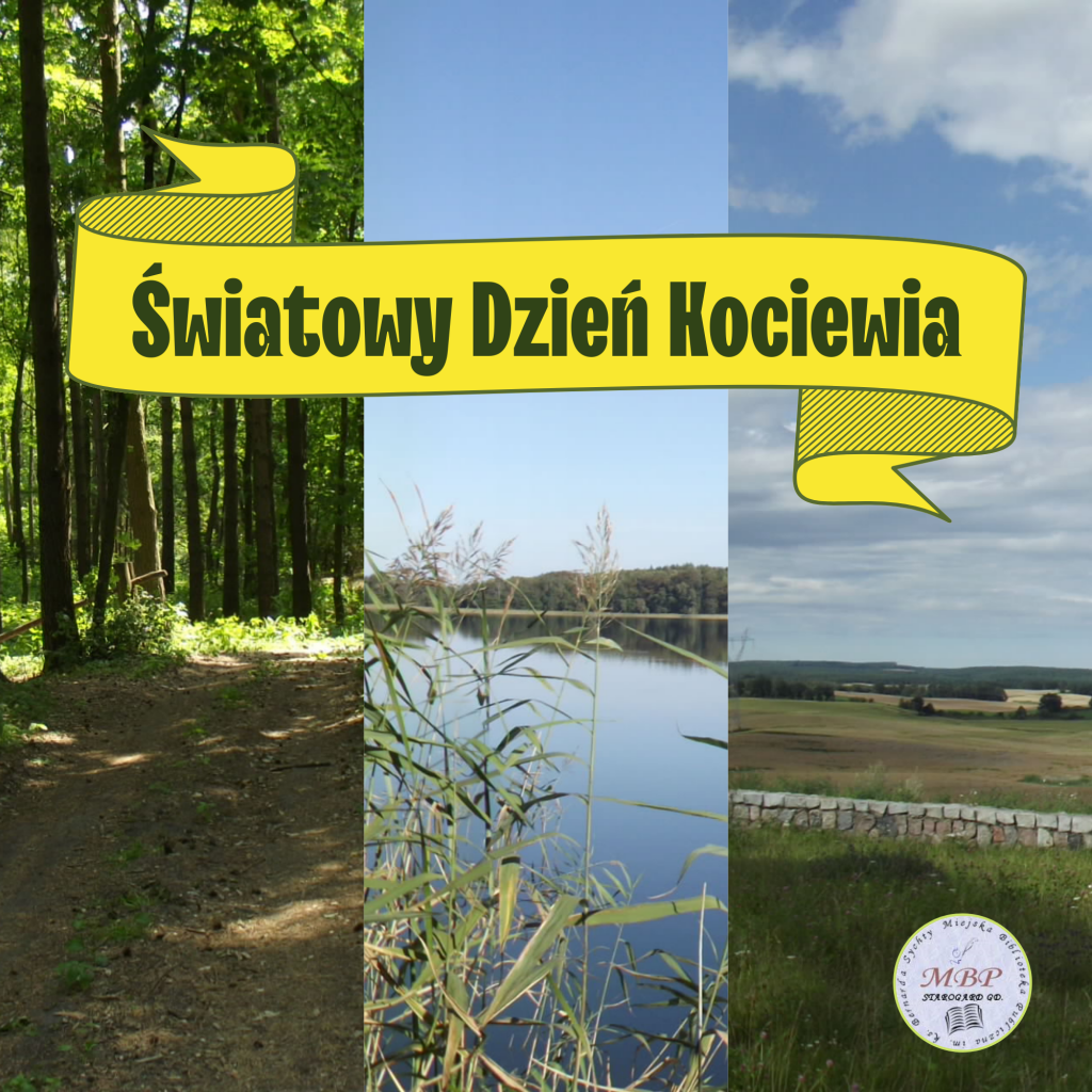 Na grafice krajobrazy kociewskie, logo biblioteki oraz baner z napisem "Światowy Dzień Kociewia".